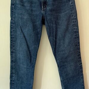 Agolde Light Blue Denim Jeans